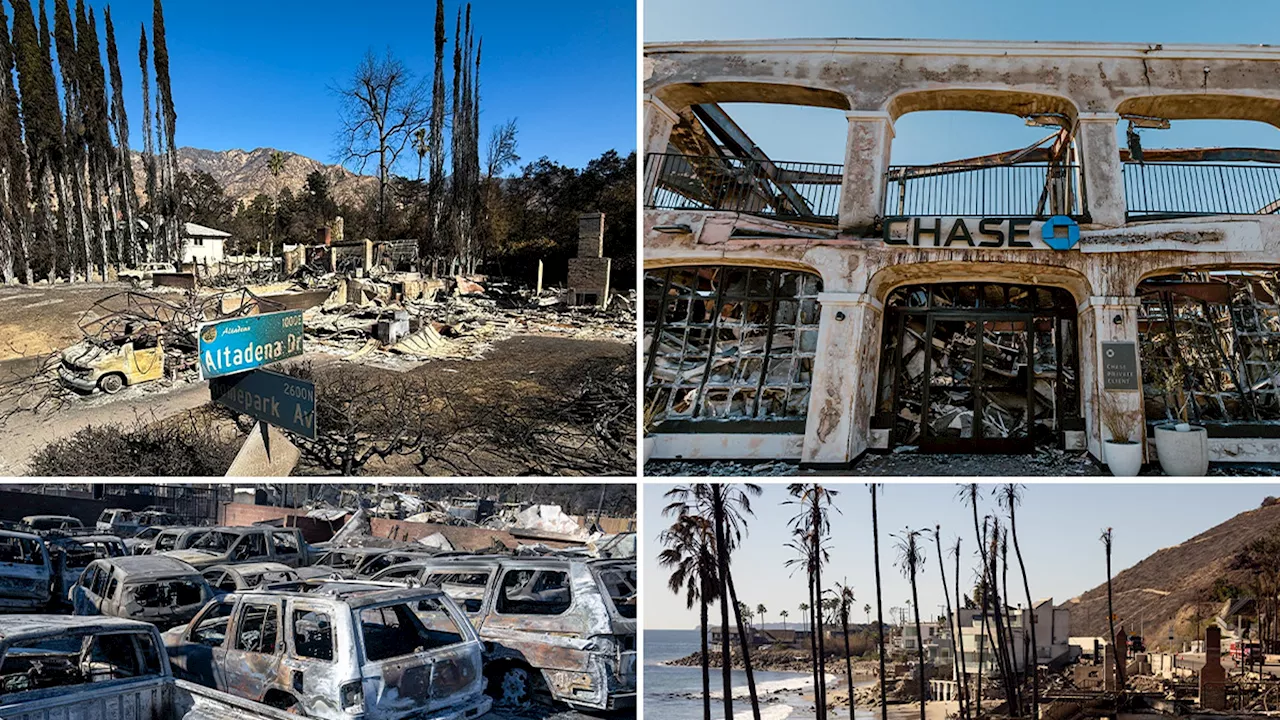 Los Angeles Wildfires Rage On, Leaving Devastating Trail of Destruction