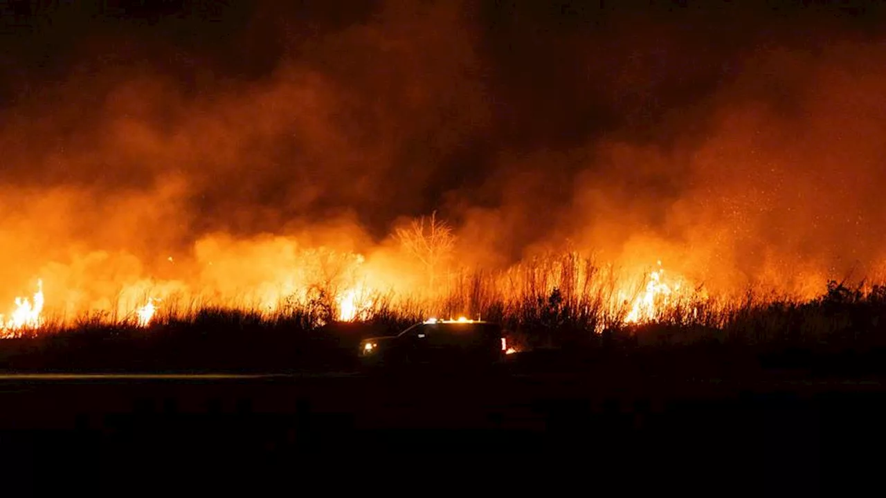 Wildfire Warnings Heighten as Santa Ana Winds Rage Across Southern California