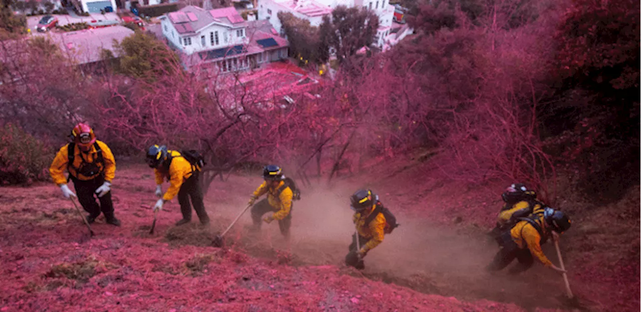 Pó Rosa em Los Angeles após Incêndios: Retardante de Fogo Deixa Rastros e Cria Preocupações