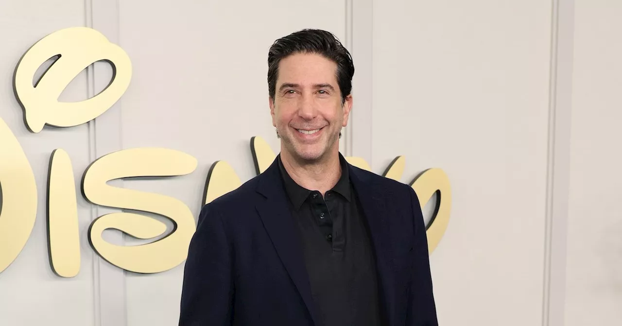 David Schwimmer Recalls 'Traumatizing' SNL Guest-Hosting Experience