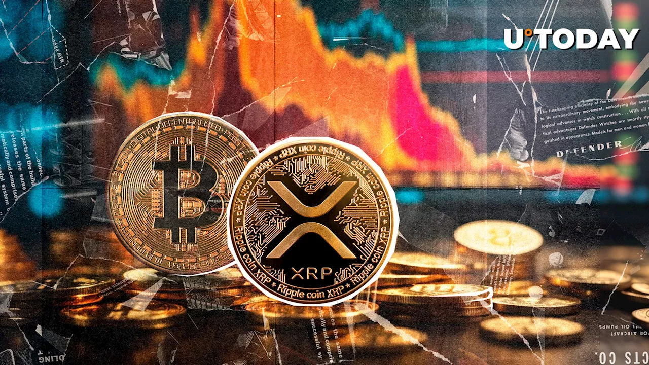 Crypto Markets Soar on US CPI Data: Bitcoin and Ethereum Lead Surge, XRP Joins the Frenzy