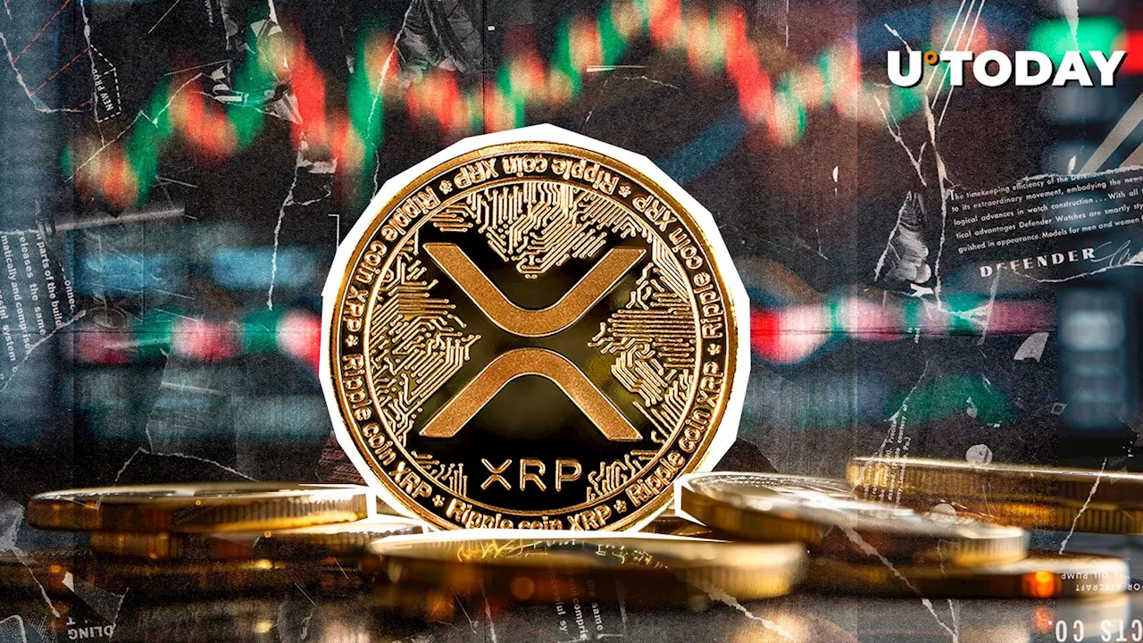 XRP Surges to December Highs: Institutional Investors Drive the Bullish Momentum