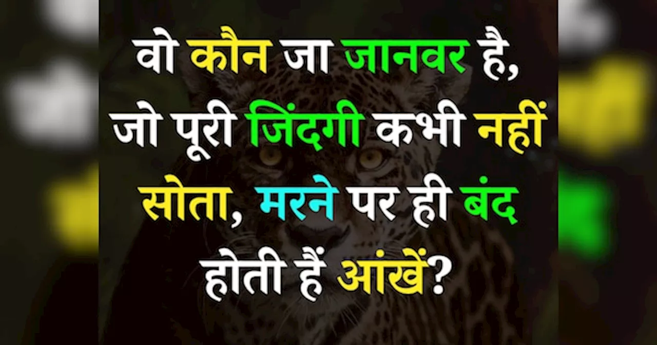 Quiz: वो कौन जा जानवर है, जो पूरी जिंदगी कभी नहीं सोता, मरने पर ही बंद होती हैं आंखें?