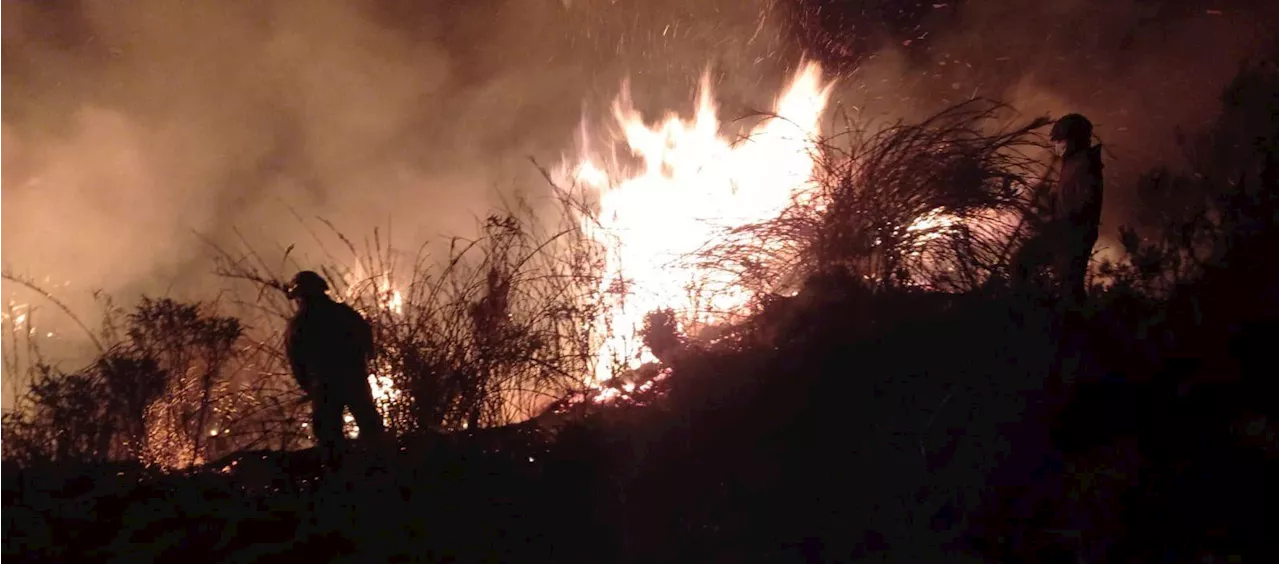 Bomberos y soldados luchan contra incendio en el parque natural de Chingaza