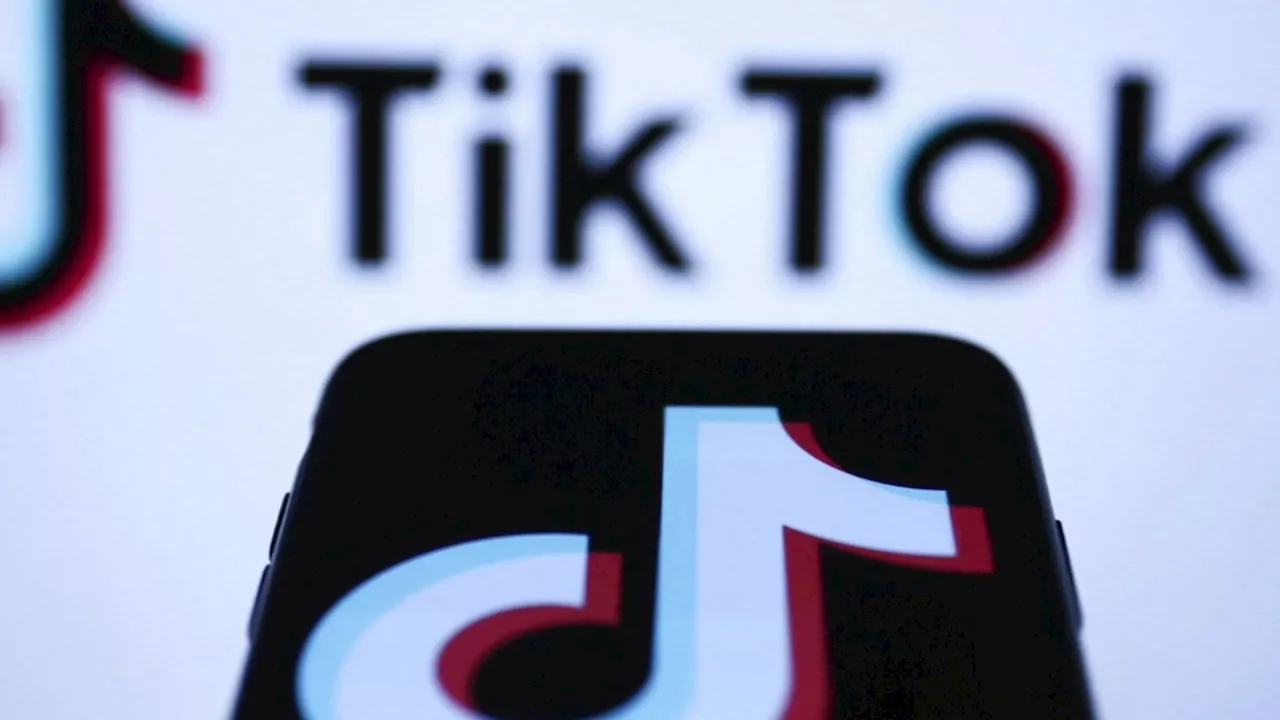 President-elect Trump exploring option to save TikTok before US ban