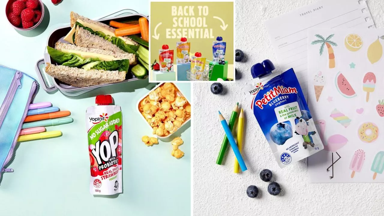 Yoplait: The Ultimate Solution for Busy Parents' Snack Time Struggles