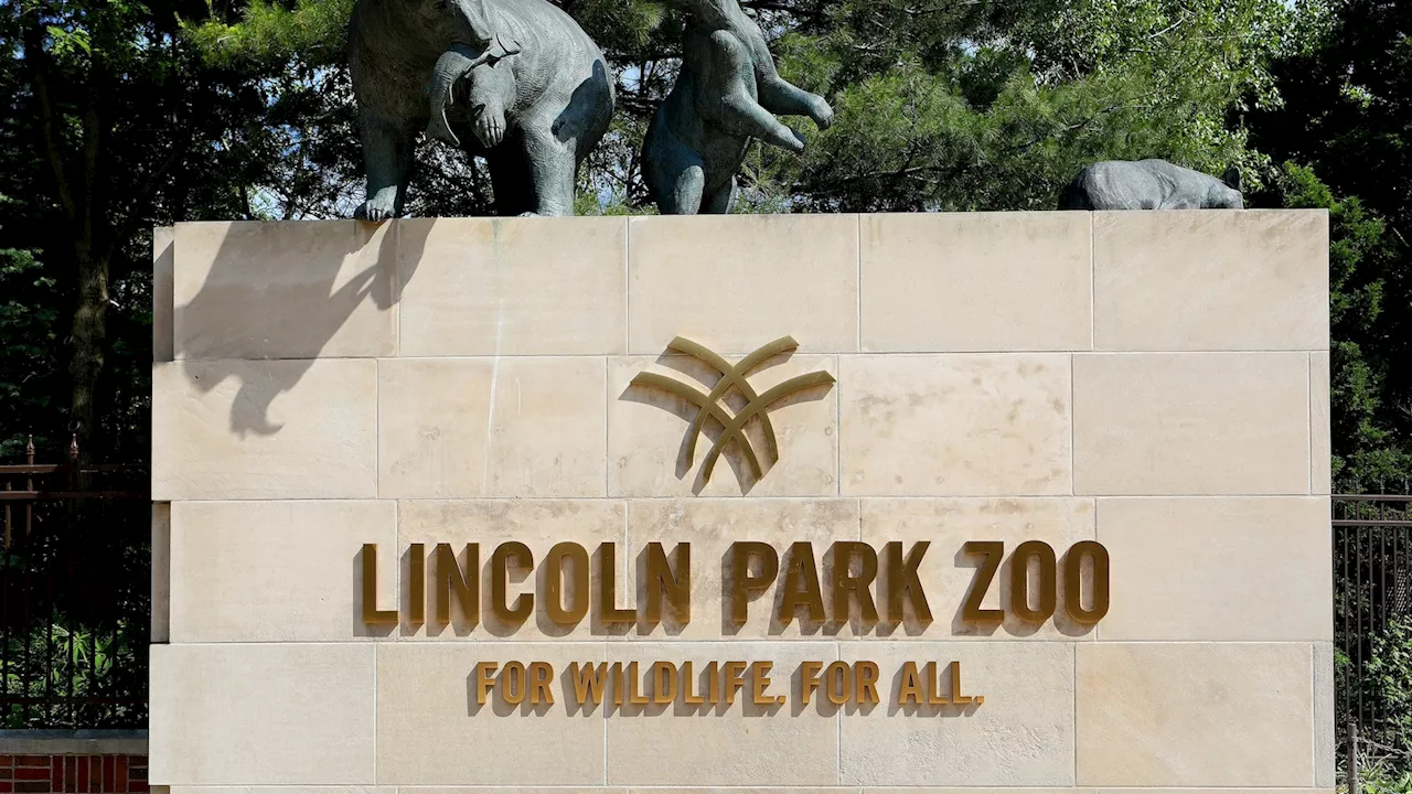 Bird Flu Outbreak Claims Two Animal Lives at Lincoln Park Zoo