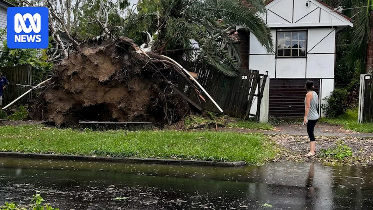 Microburst Storm Unleashes Chaos in Brisbane Suburbs