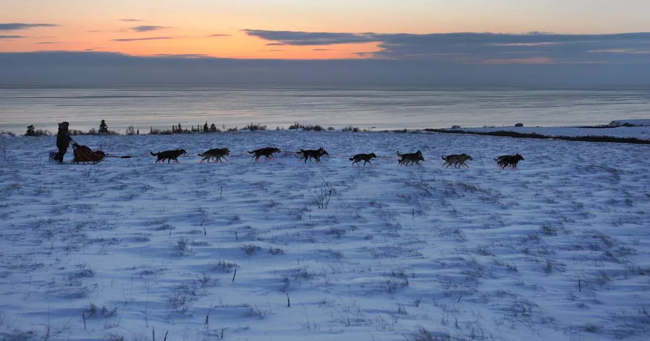 Iditarod Trail Sled Dog Race Faces Uncertain Future Amid Poor Snow Conditions