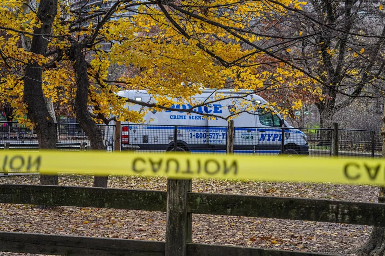 Homeless Man Found Dead in Central Park