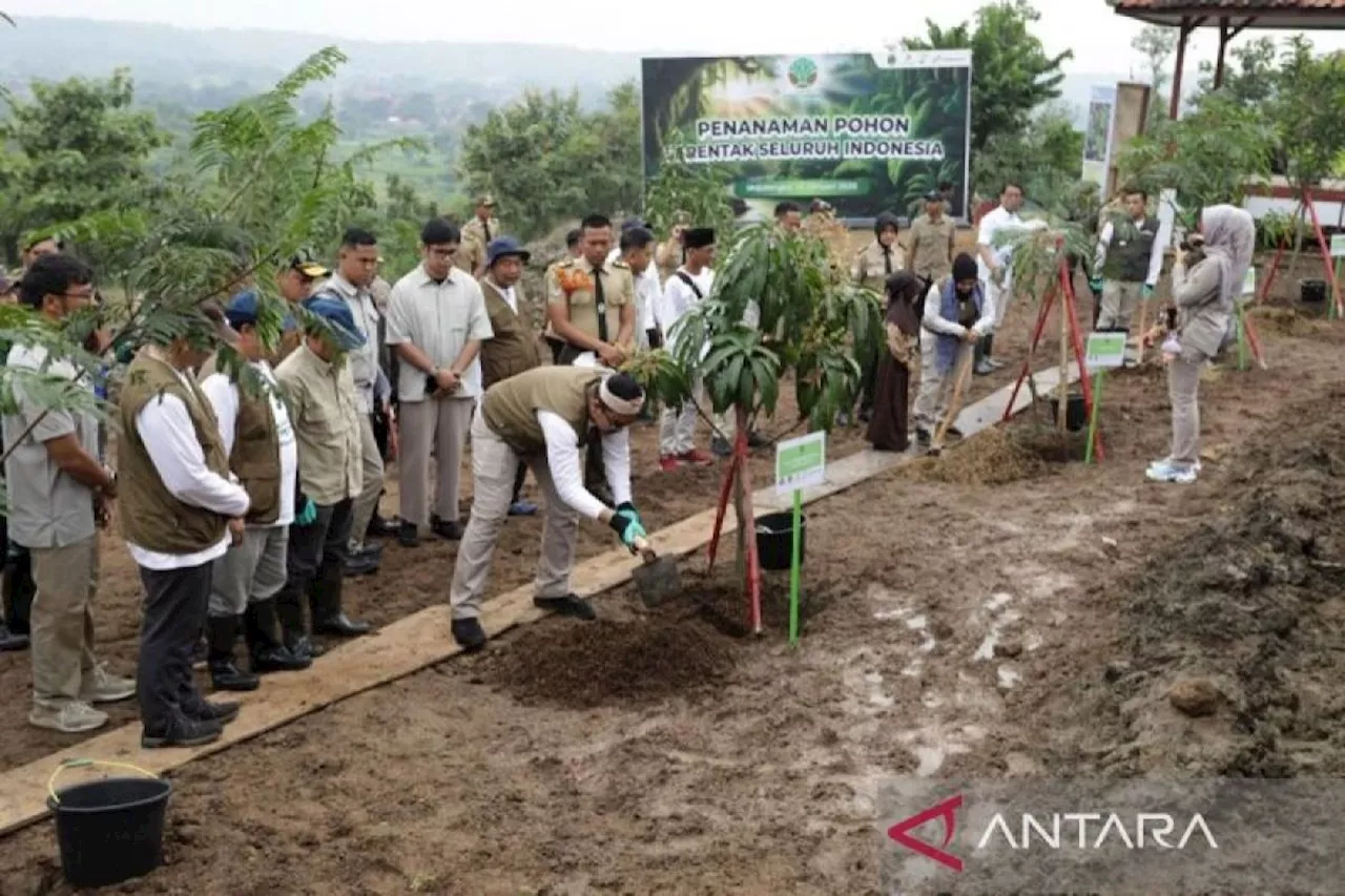 Pertamina EP Rehabilitasi Lahan DAS, Tanam Ribuan Pohon