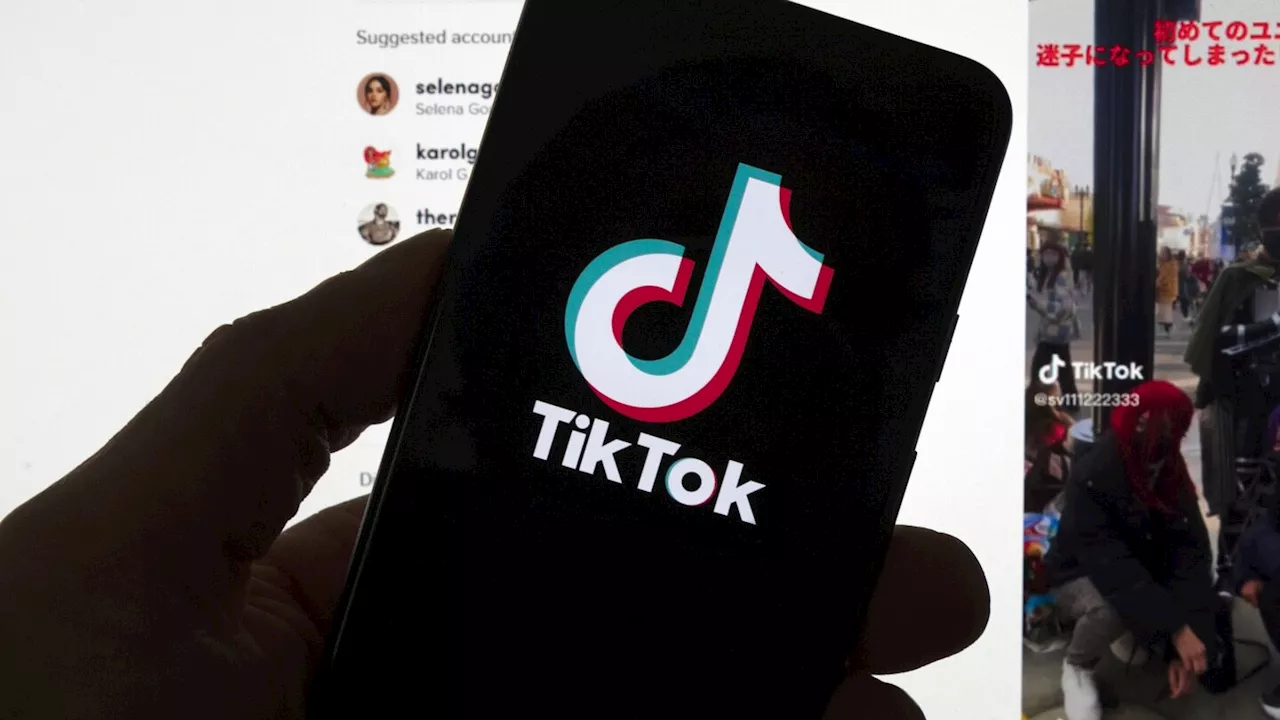 Trump is exploring options to 'preserve' TikTok, Mike Waltz says