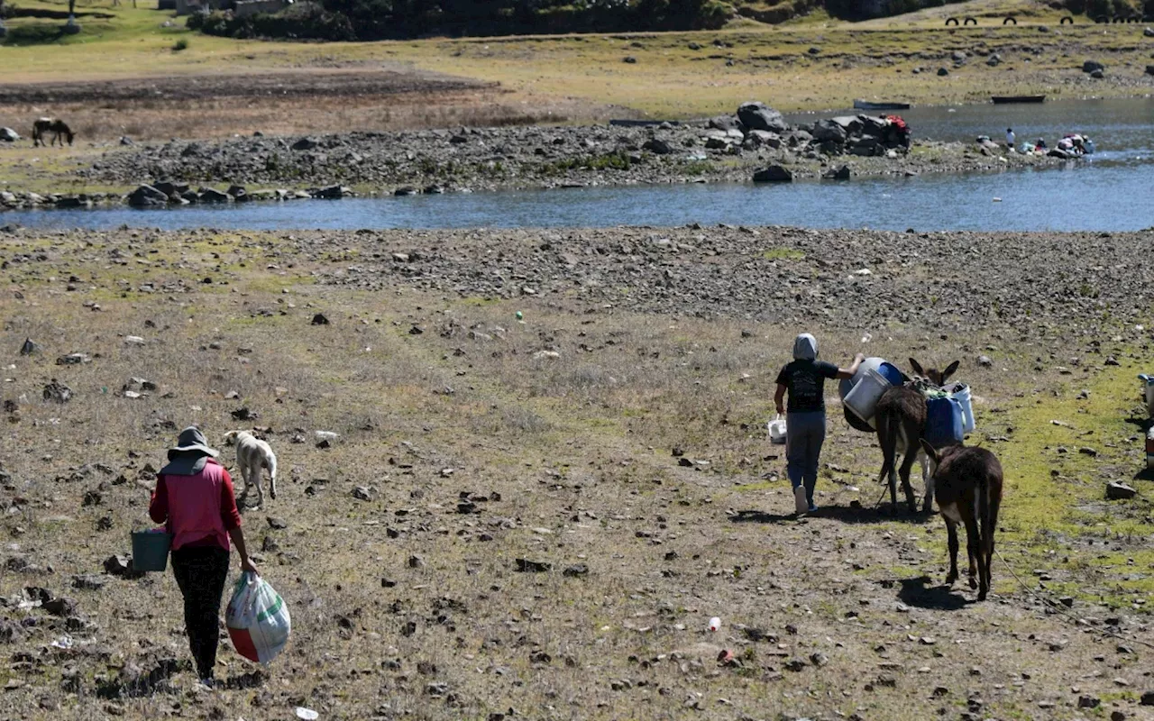 Agua: ejercer el derecho humano al agua obliga a proteger bosques y selvas