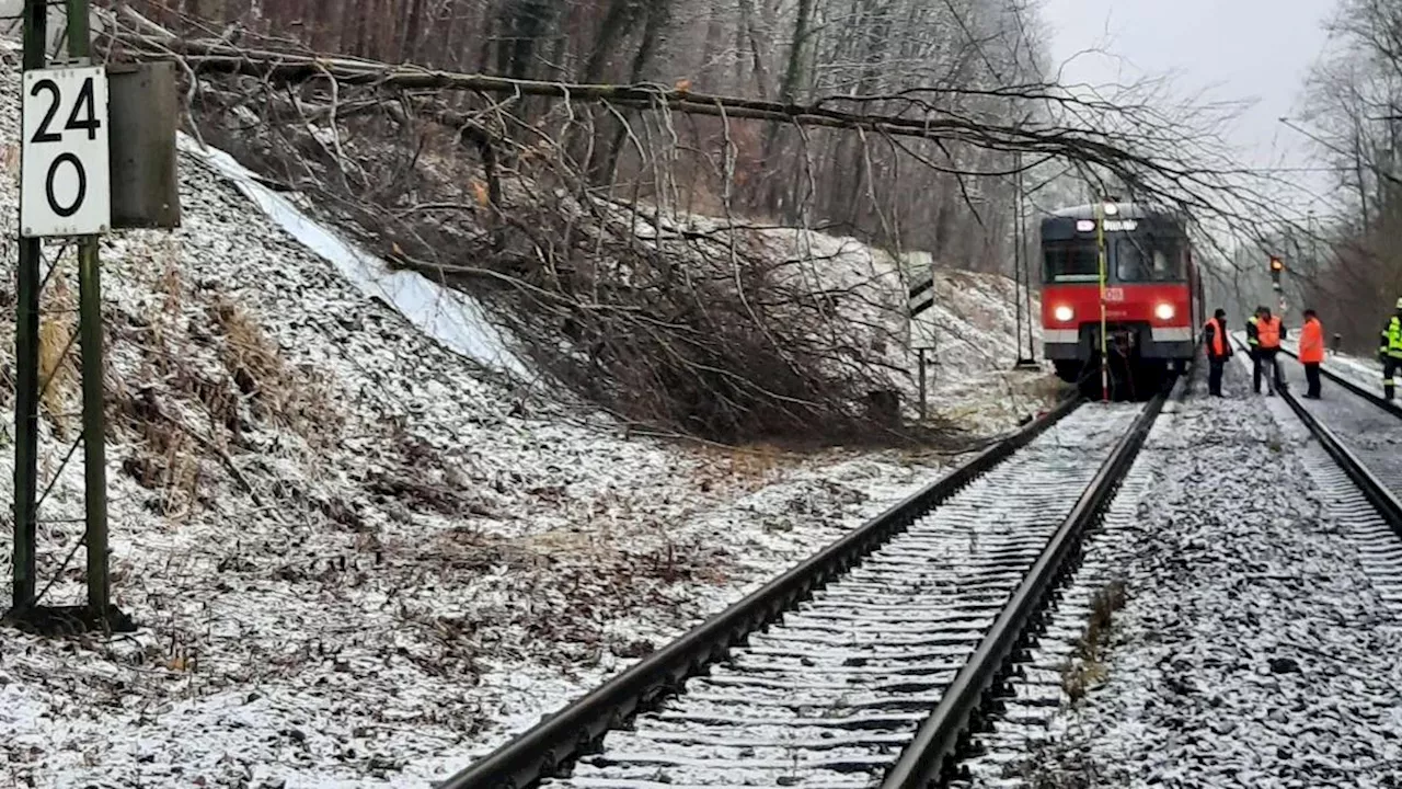 Baum fällt auf Bahnstrecke zwischen München und Memmingen: erhebliche Behinderungen im Bahnverkehr