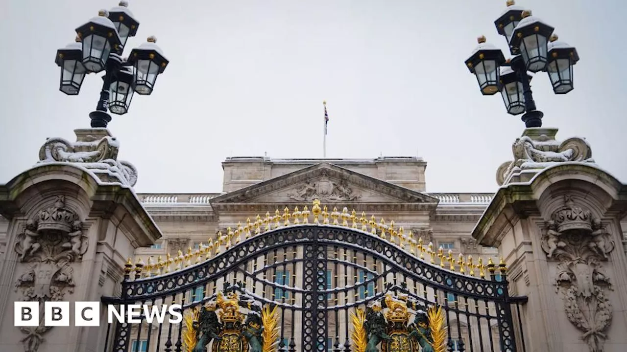 Buckingham Palace: Man who crashed into gates admits criminal damage