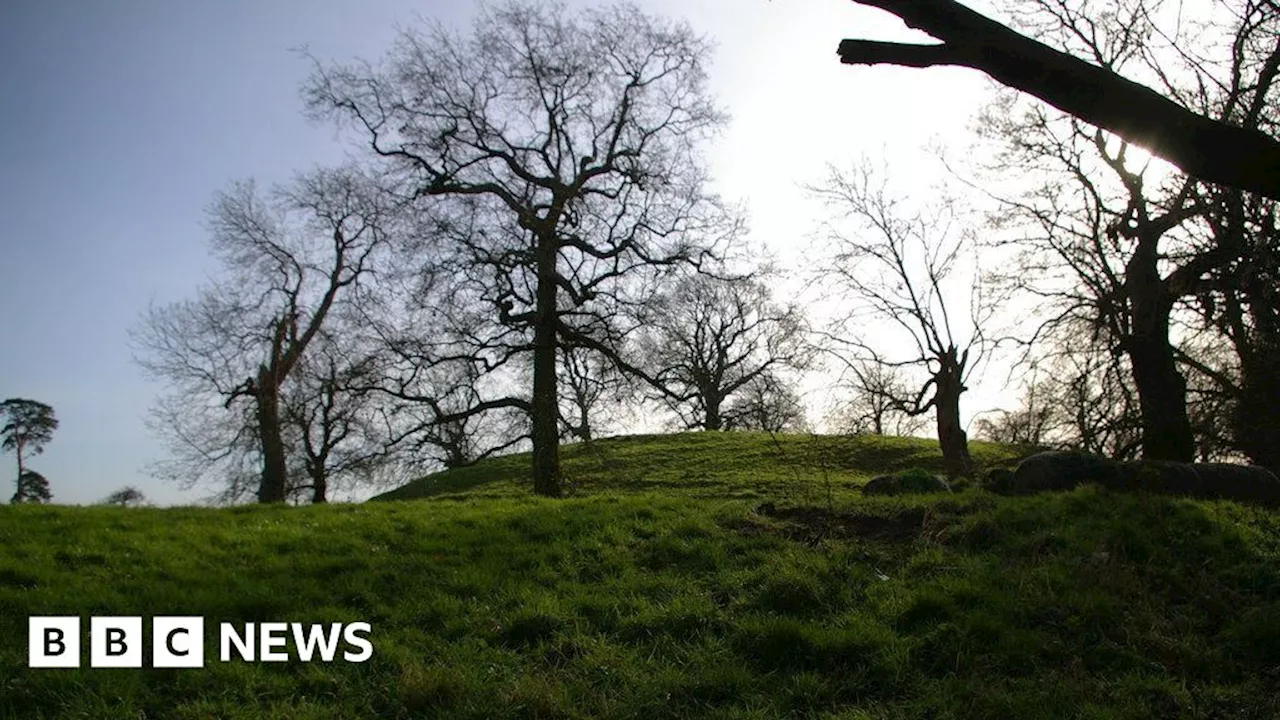 Solar farm proposed near Wormegay Castle rejected by planners