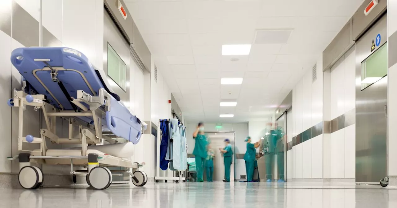 Northern Irish Nurses Warn of 'Collapse' in Hospital Standards as Patients Die in Corridor Beds