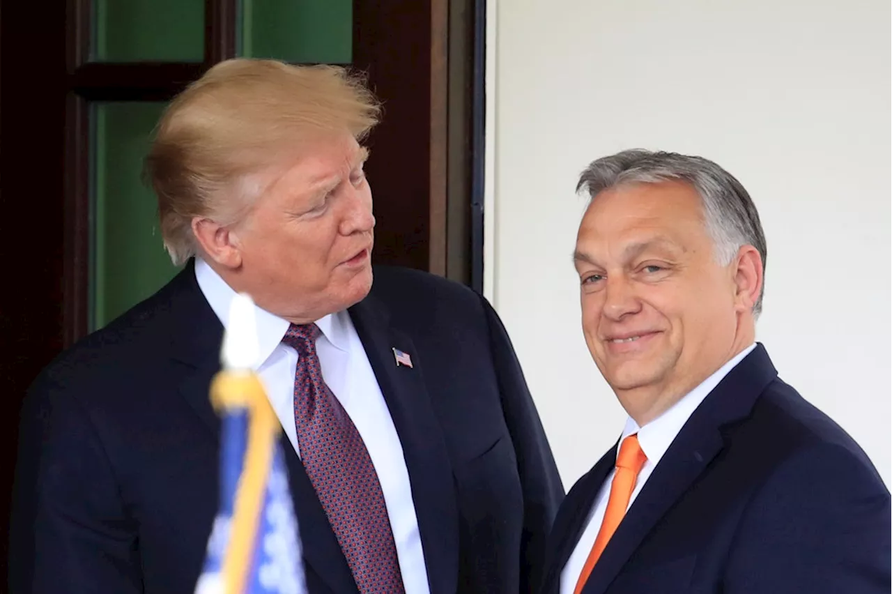 Trumps Amtseinführung: Orbán nimmt auch nicht teil – ein Präsident hat zugesagt