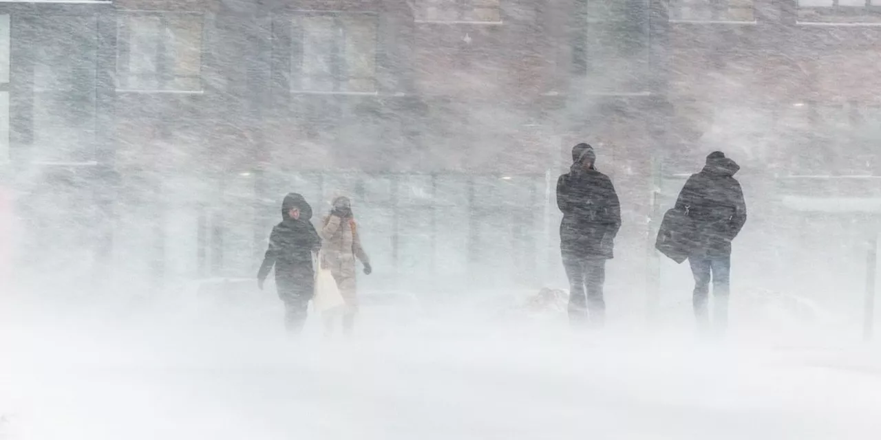 Polar Vortex Is Bringing an 'Arctic Blast' to the U.S.