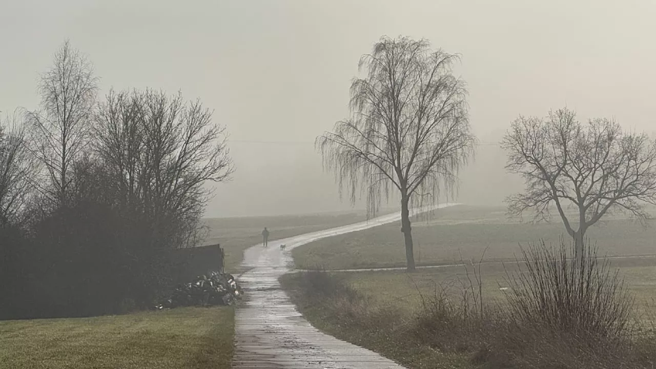 Wetter, Schnee: Winter in Deutschland durch Hoch Beate vorerst vorbei