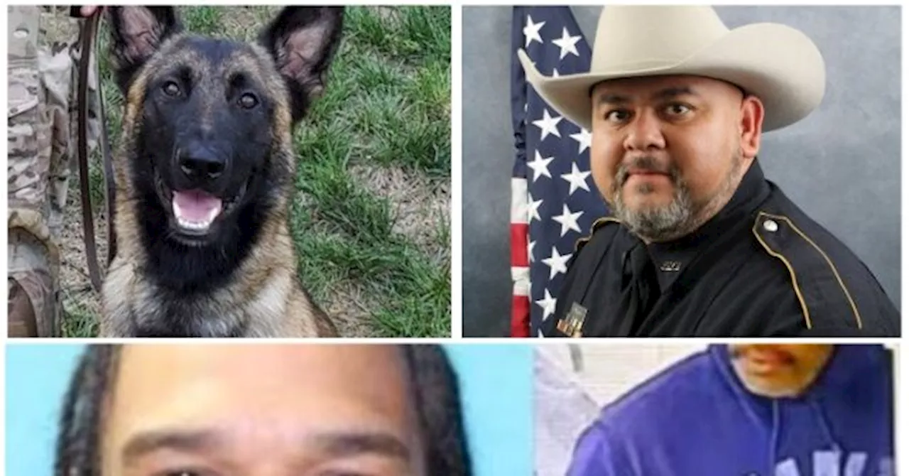 Suspect Killed After Shooting Police K-9 During Manhunt