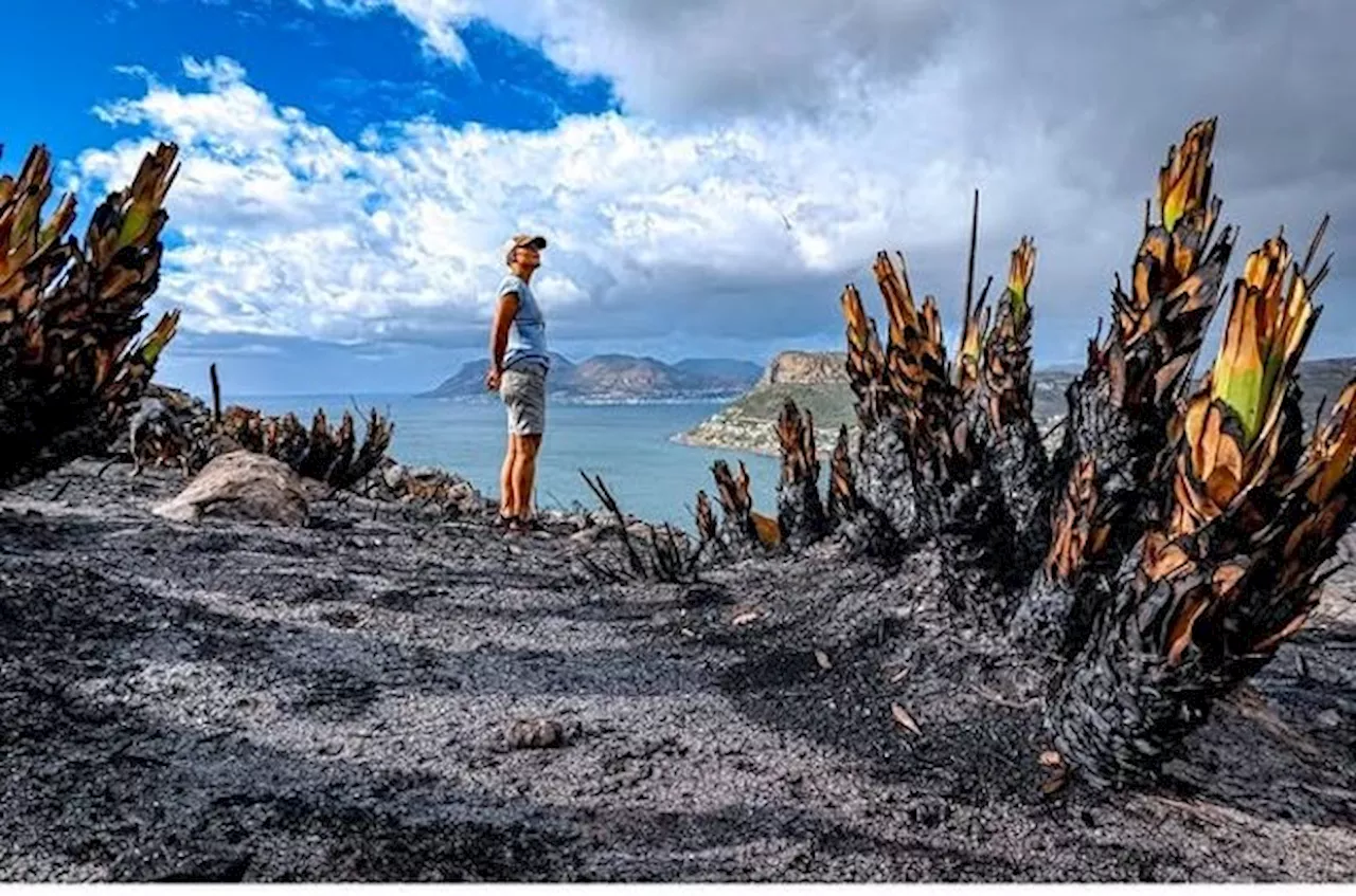 Photographer urges action as Clovelly fire highlights vagrancy issue