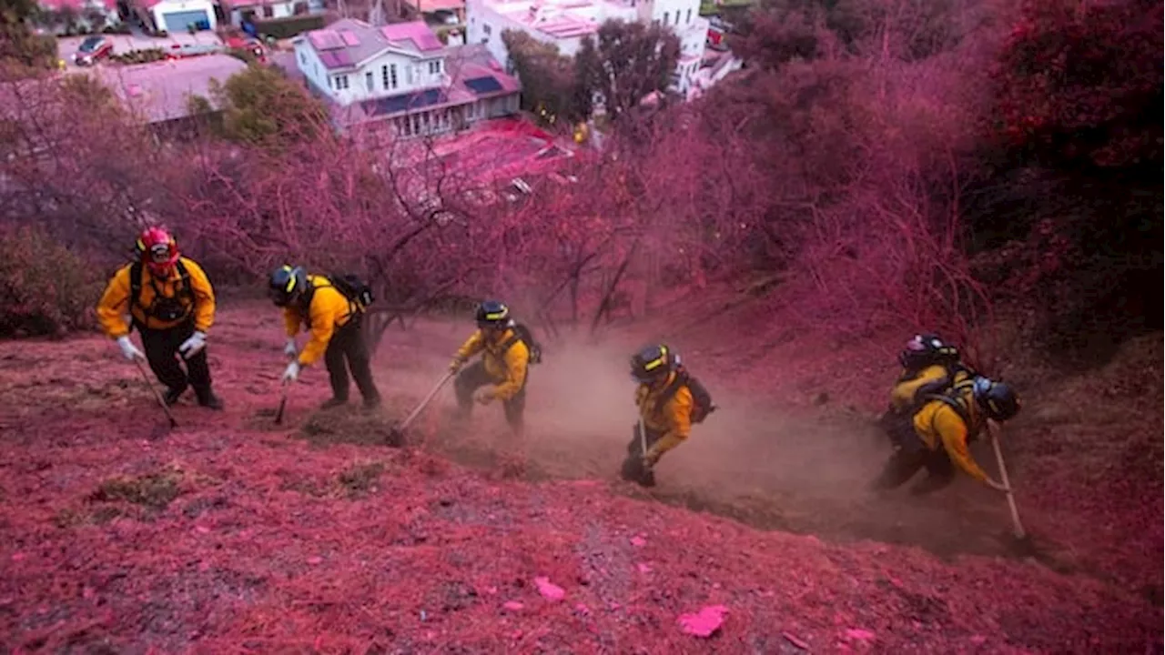 Pink Fire Retardant Covers Los Angeles in Wildfire Fight