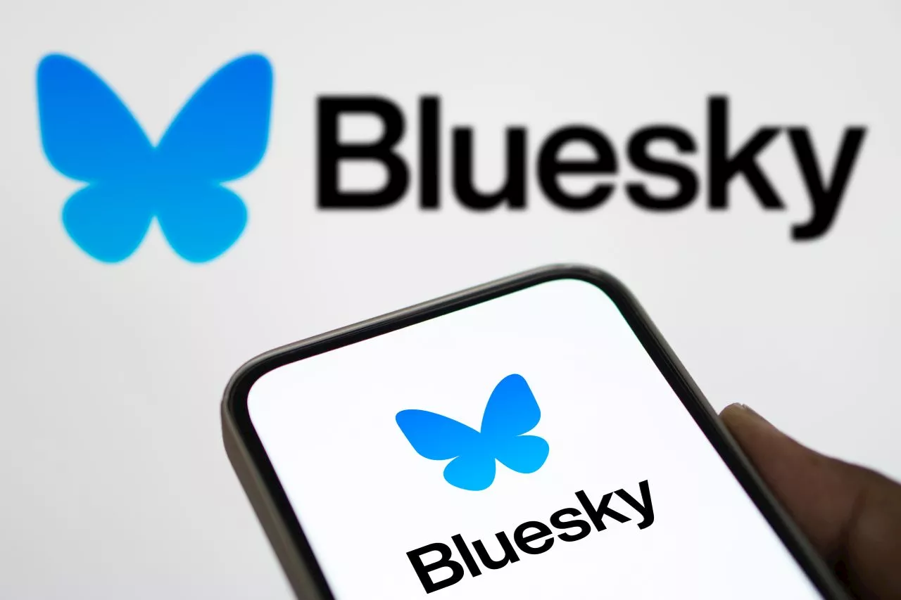 Bluesky lance Flashes, une alternative décentralisée à Instagram