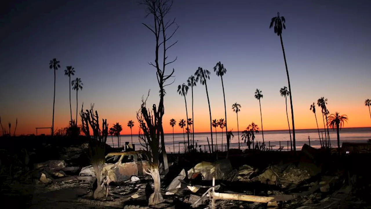 Los Angeles Wildfires Leave Behind a Toxic Legacy: Months-Long Cleanup Effort Underway