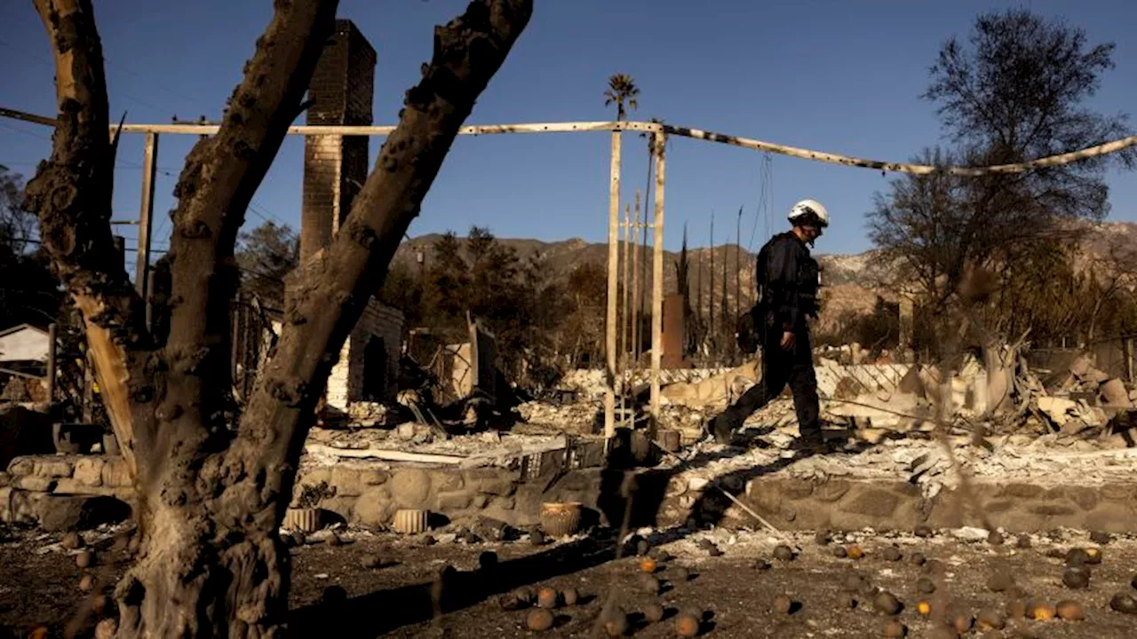 Wildfire Crisis Exposes Housing Crisis in LA as Landlords Raise Prices