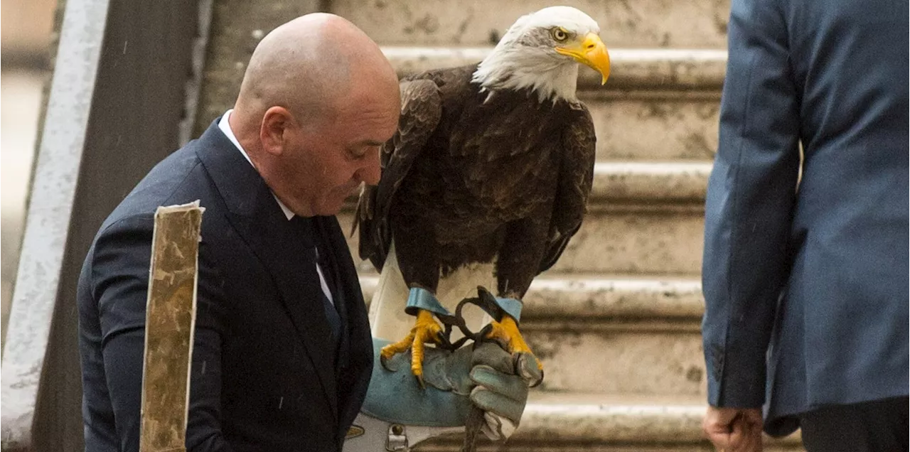 Caso Bernabè, l'ex falconiere della Lazio chiede scusa e il medico si dissocia