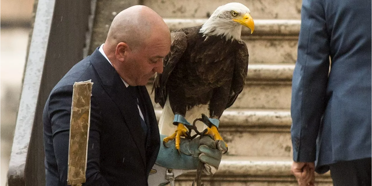 La Lazio esonera Bernabé: l'aquila cade e il New York Times ironizza