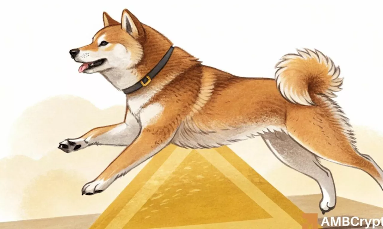 Shiba Inu (SHIB) Price Dips Despite Whale Accumulation