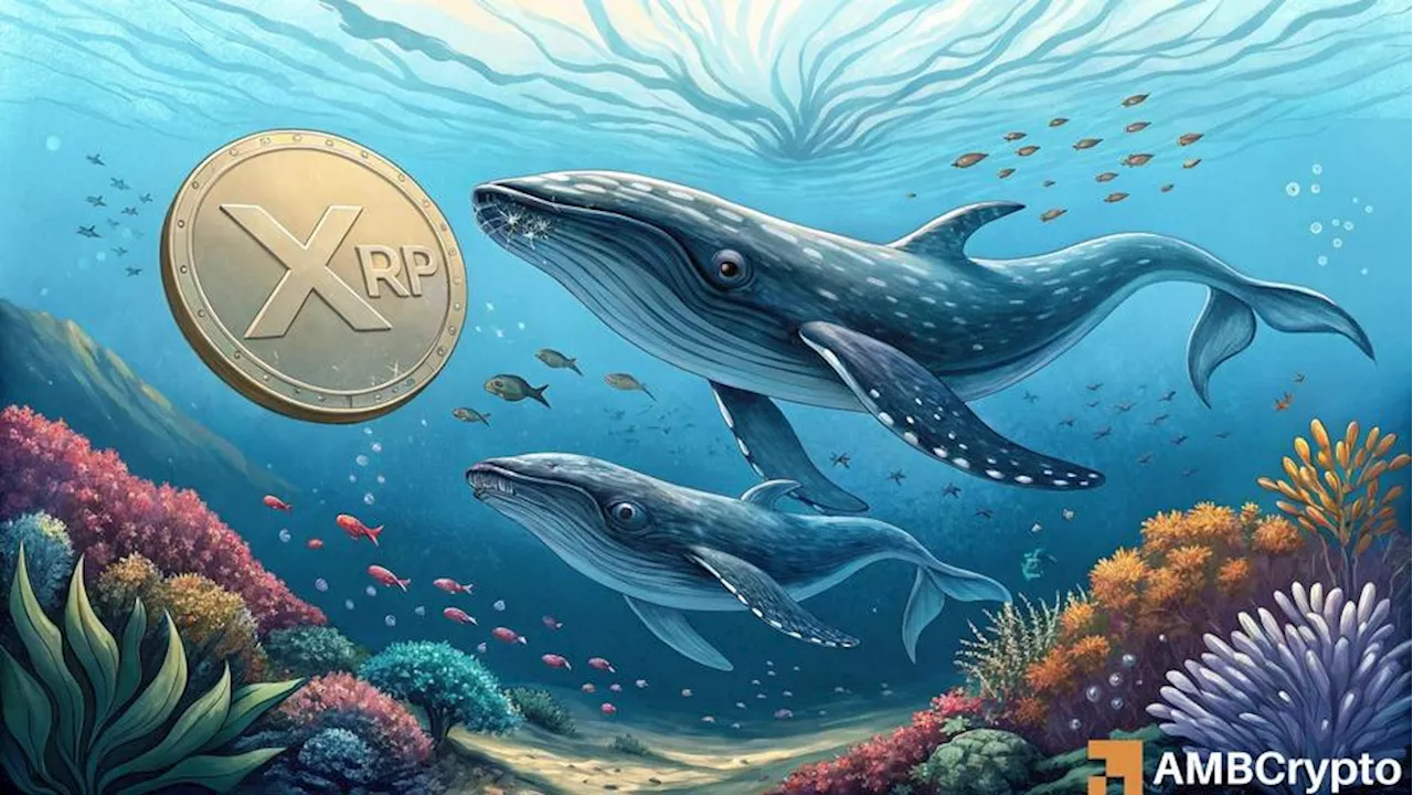 XRP surges to 7-year high above $3 as whales accumulate $3.8B