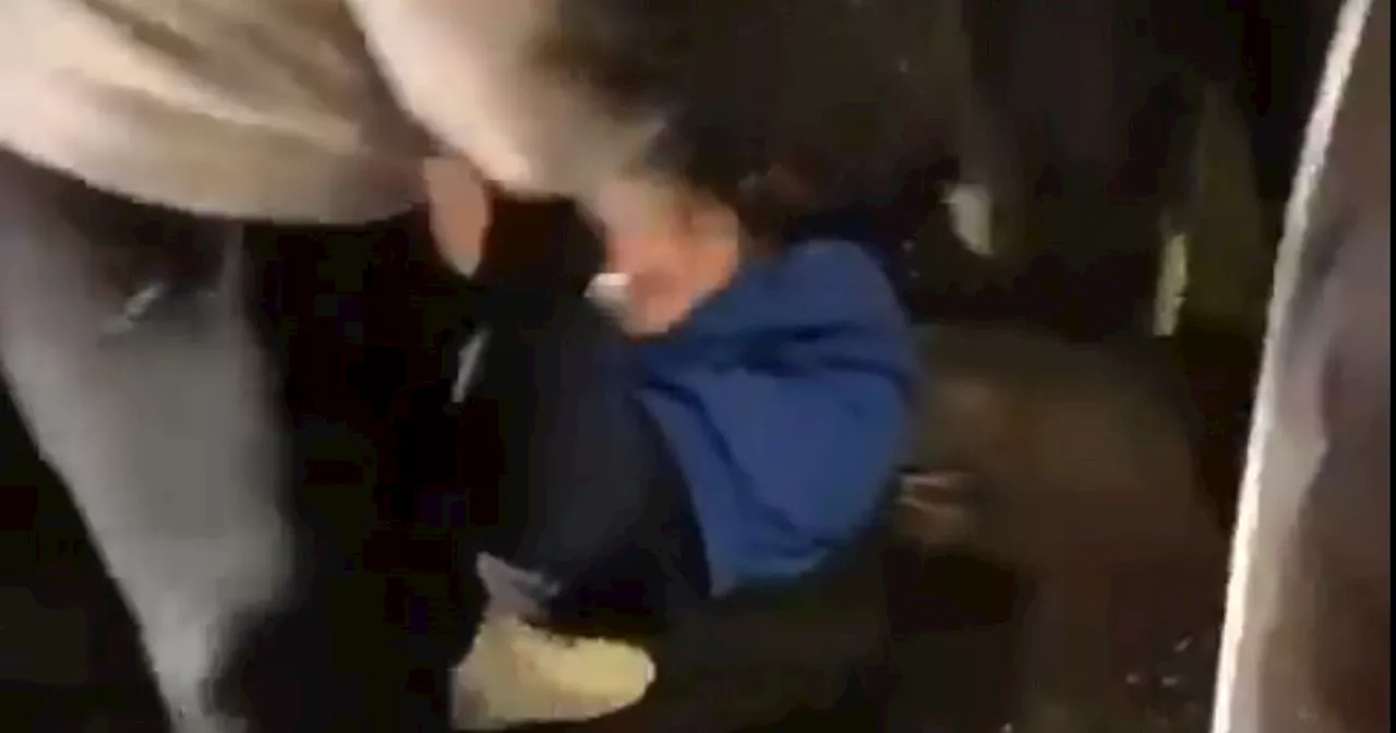 Disabled Football Fan Brutally Attacked by Mob in Shocking Video