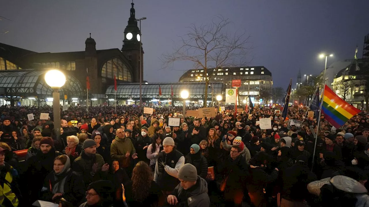 Großdemonstration gegen Alice Weidel in Hamburg