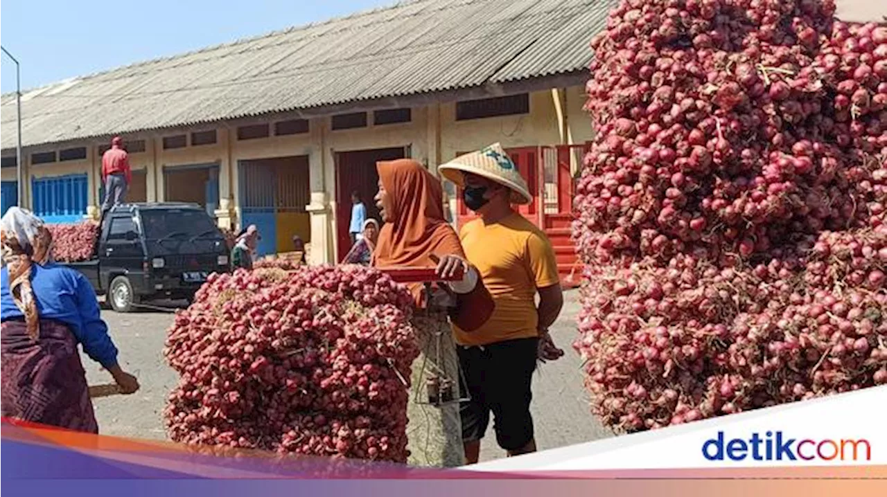 Harga Bawang Merah Terkendali, Bapanas Beri Peluang bagi Petani