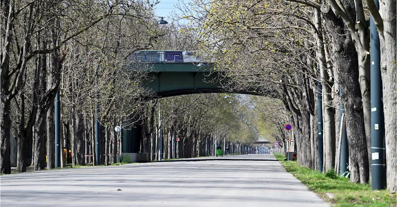 15-köpfige Gruppe geht im Wiener Prater mit Messer auf drei Jugendliche los