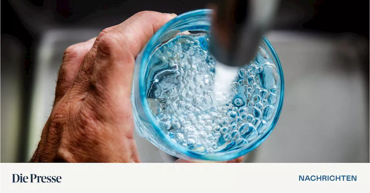 Umweltschützer warnen vor zu hohem Grenzwert für Pestizid-Abbauprodukt TFA im Trinkwasser