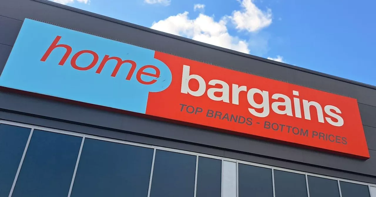 Home Bargains' 99p Bow Hair Clips Go Viral on TikTok