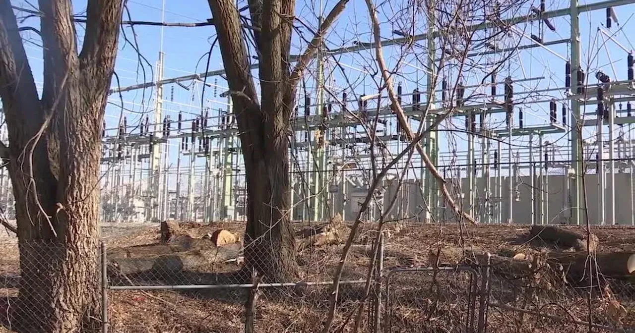 Millcreek Residents Protest Tree Removal Near Substation