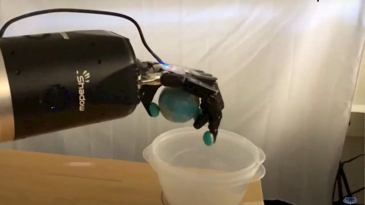 Groundbreaking Study Enables Users to Grasp Two Objects Simultaneously with a Prosthetic Hand