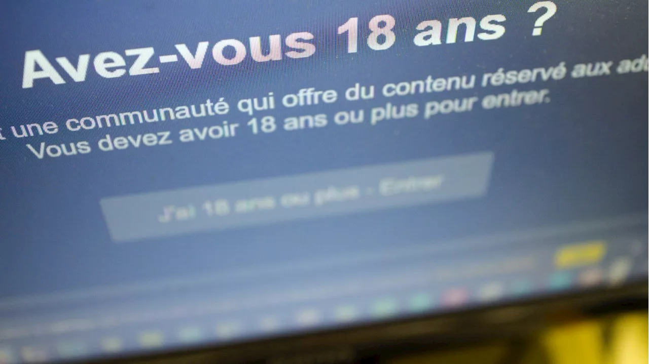 France impose la vérification d'âge sur les sites de pornographie, mais les géants du secteur échappent à la règle