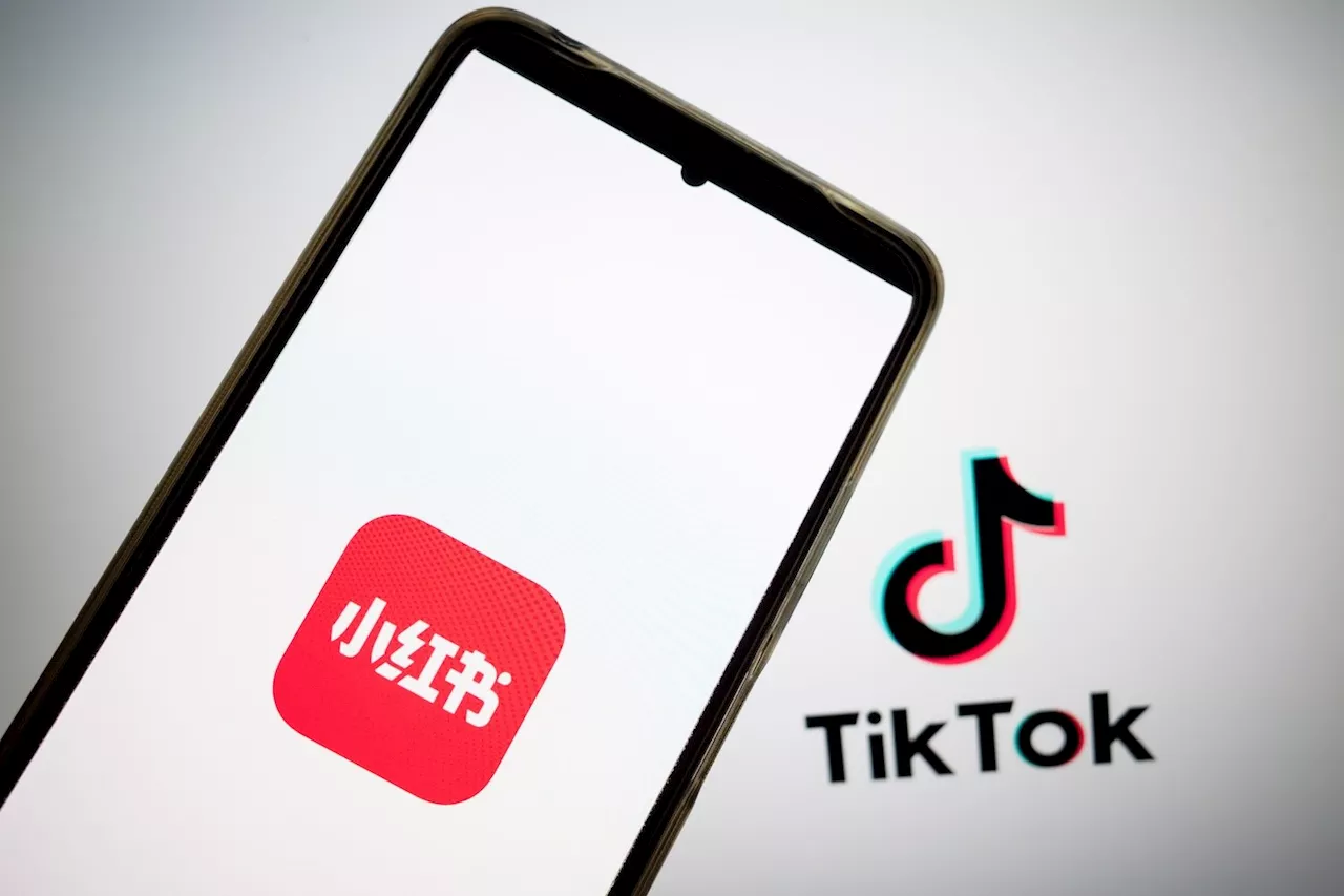 Accidental CEO of RedNote? TikTok User Goes Viral