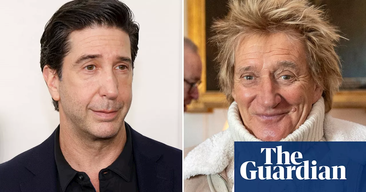 David Schwimmer Reveals He Served Rod Stewart Divorce Papers