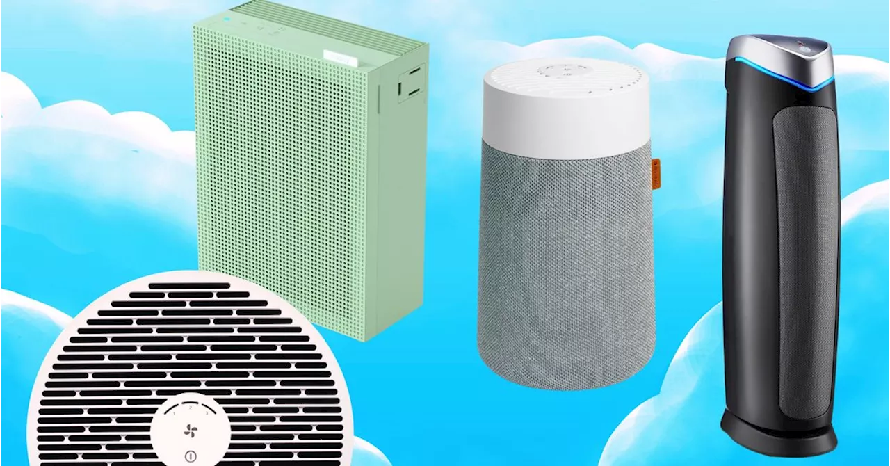 14 Affordable Air Purifiers That Will Breathe Easy