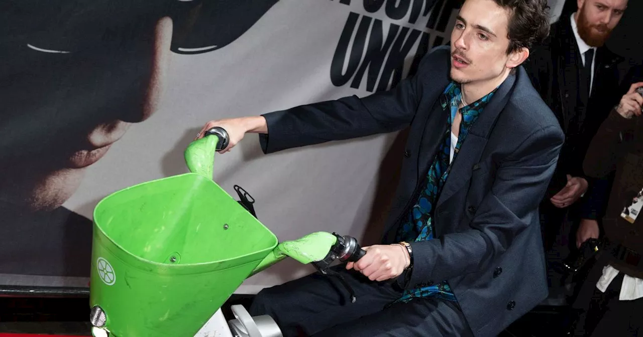 Timothée Chalamet Arrives at 'Bob Dylan: Don't Look Back' Premiere on Lime Bike, Gets Fine