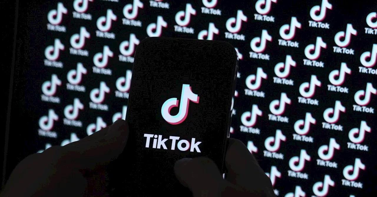 TikTok Ban in the US: Privacy Concerns and the Value of Data