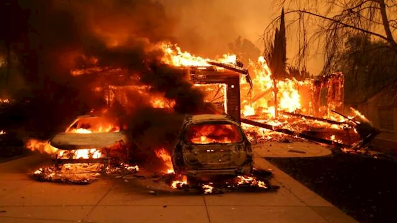 Gli incendi prevedibili di Los Angeles