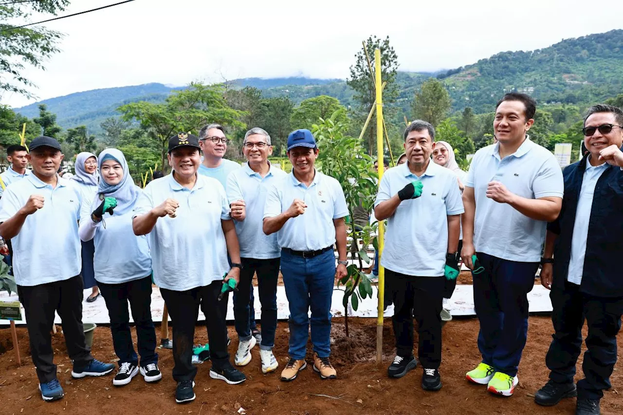 Dukung Penanaman Pohon di Hulu Sungai Ciliwung, Pertamina: Memiliki Manfaat Besar